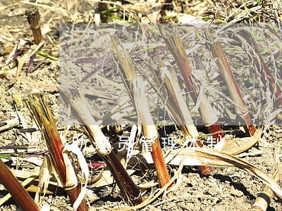 助理员管理体制 助理员管理体制