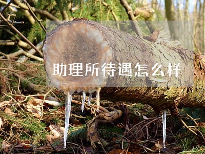 助理所待遇怎么样