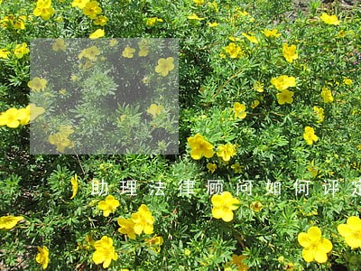 助理法律顾问如何评定 助理法律顾问如何评定