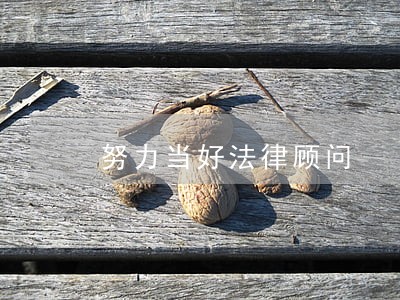努力当好法律顾问 努力当好法律顾问