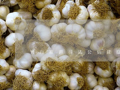 努力推进司法公信建设
