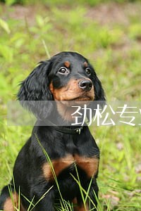 劲松专业医疗事故纠纷律师服务 劲松专业医疗事故纠纷律师服务