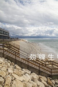 劲牌生物有限公司法人代表 劲牌生物有限公司法人代表