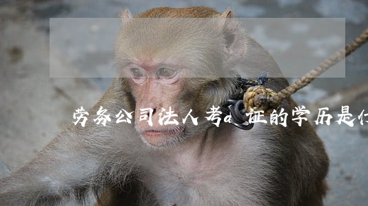 劳务公司法人考a证的学历是什么 劳务公司法人考a证的学历是什么
