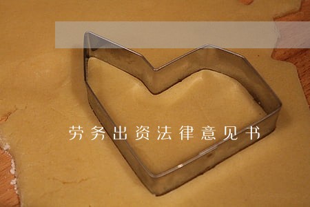 劳务出资法律意见书