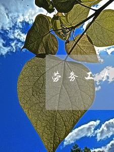劳务工资保证金能法院扣划吧 劳务工资保证金能法院扣划吧