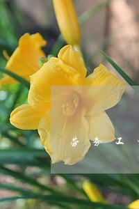 劳务工资纠纷律师在线咨询 劳务工资纠纷律师在线咨询