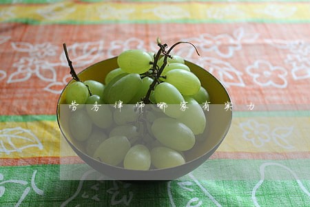 劳务律师哪家有实力 劳务律师哪家有实力