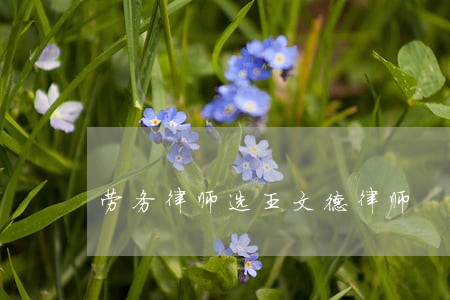劳务律师选王文德律师 劳务律师选王文德律师