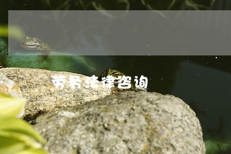 劳务法律咨询 劳务法律咨询