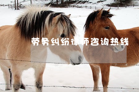 劳务纠纷律师咨询热线 劳务纠纷律师咨询热线