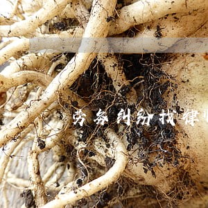 劳务纠纷找律师要多少钱 劳务纠纷找律师要多少钱