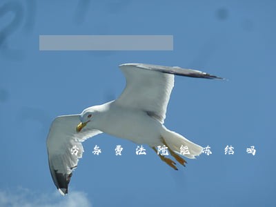 劳务费法院能冻结吗 劳务费法院能冻结吗