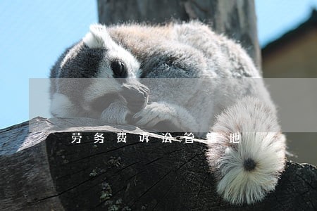 劳务费诉讼管辖地 劳务费诉讼管辖地