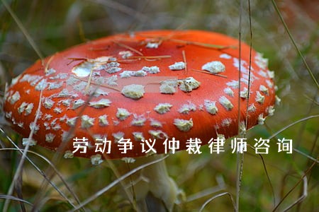劳动争议仲裁律师咨询 劳动争议仲裁律师咨询