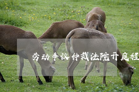 劳动争议仲裁法院开庭程序 劳动争议仲裁法院开庭程序