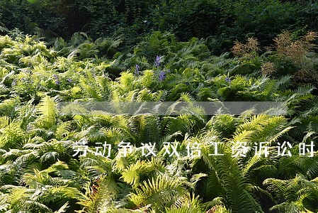 劳动争议双倍工资诉讼时效 劳动争议双倍工资诉讼时效