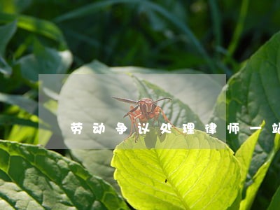 劳动争议处理律师一站式服务 劳动争议处理律师一站式服务