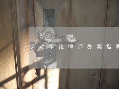 劳动争议律师办案指导指南 劳动争议律师办案指导指南