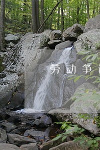 劳动争议律师法律顾问 劳动争议律师法律顾问