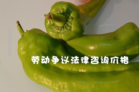 劳动争议法律咨询价格 劳动争议法律咨询价格