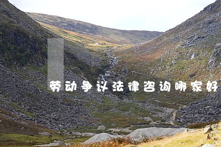 劳动争议法律咨询哪家好
