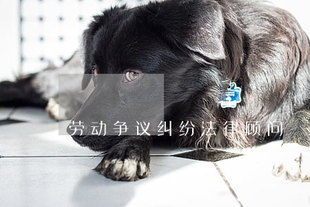 劳动争议纠纷法律顾问 劳动争议纠纷法律顾问
