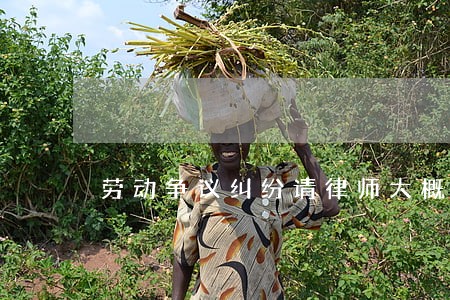 劳动争议纠纷请律师大概多少钱 劳动争议纠纷请律师大概多少钱