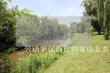 劳动争议诉讼的案由怎么写 劳动争议诉讼的案由怎么写