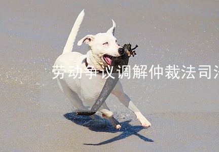劳动争议调解仲裁法司法解释二 劳动争议调解仲裁法司法解释二