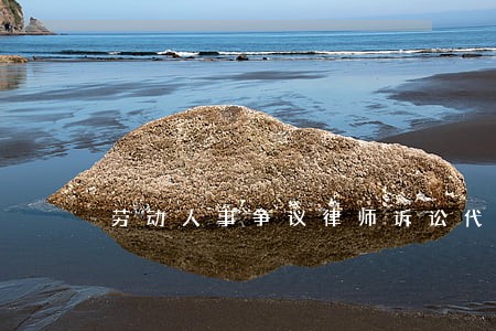 劳动人事争议律师诉讼代理 劳动人事争议律师诉讼代理