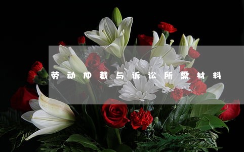 劳动仲裁与诉讼所需材料 劳动仲裁与诉讼所需材料