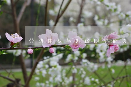 劳动仲裁与诉讼的举证责任衔接