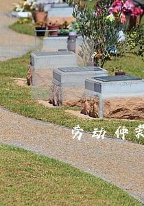 劳动仲裁专业律师咨询 劳动仲裁专业律师咨询