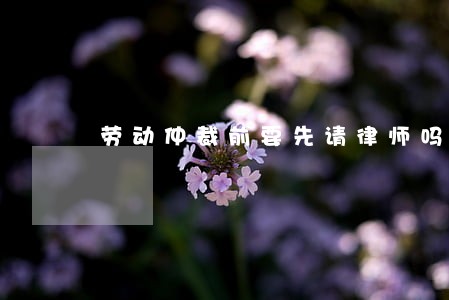 劳动仲裁前要先请律师吗 劳动仲裁前要先请律师吗