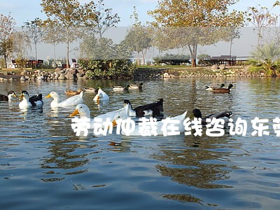 劳动仲裁在线咨询东莞 劳动仲裁在线咨询东莞