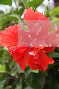 劳动仲裁在线咨询公司 劳动仲裁在线咨询公司