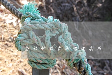 劳动仲裁在线咨询嘉兴 劳动仲裁在线咨询嘉兴