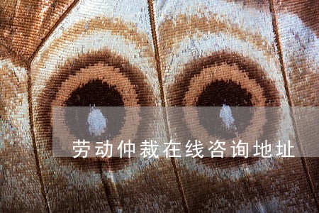 劳动仲裁在线咨询地址 劳动仲裁在线咨询地址
