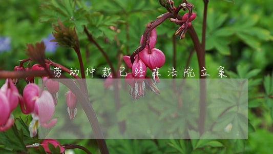 劳动仲裁已经在法院立案 劳动仲裁已经在法院立案
