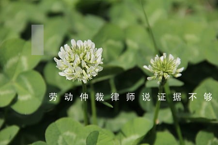 劳动仲裁律师说证据不够 劳动仲裁律师说证据不够