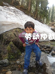 劳动仲裁案件律师咨询 劳动仲裁案件律师咨询