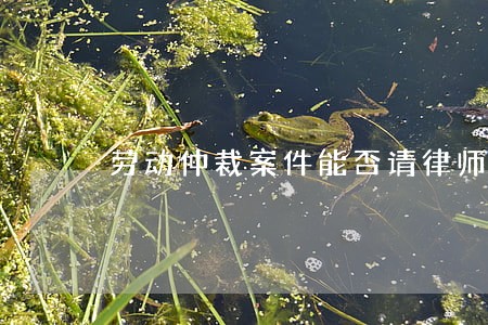 劳动仲裁案件能否请律师 劳动仲裁案件能否请律师