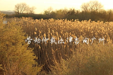 劳动仲裁法律咨询广州