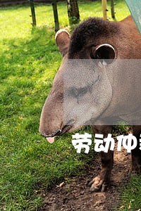 劳动仲裁法规仲裁的管辖权异议 劳动仲裁法规仲裁的管辖权异议