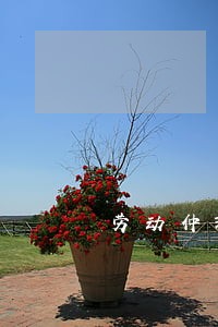 劳动仲裁的律师怎么收费 劳动仲裁的律师怎么收费
