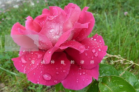 劳动仲裁的律师有没有免费的 劳动仲裁的律师有没有免费的
