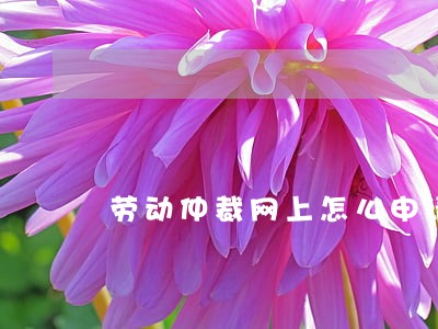 劳动仲裁网上怎么申请 劳动仲裁网上怎么申请
