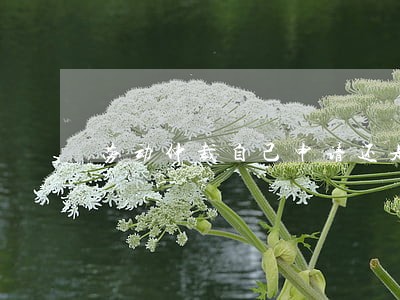 劳动仲裁自己申请还是请律师 劳动仲裁自己申请还是请律师