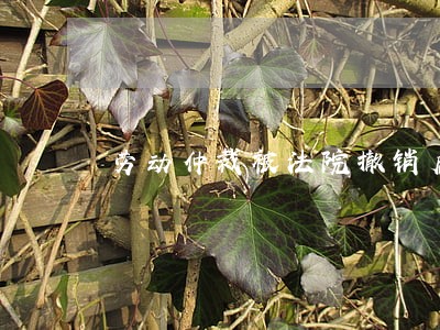 劳动仲裁被法院撤销后 劳动仲裁被法院撤销后